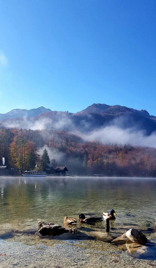 Apartments Bohinjc Екстер'єр фото